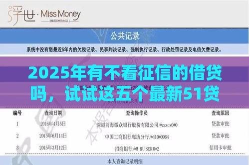 2025年有不看征信的借贷吗，试试这五个最新51贷款平台