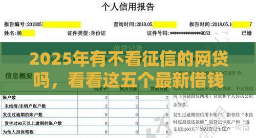 2025年有不看征信的网贷吗，看看这五个最新借钱软件不看征信的容易下款的