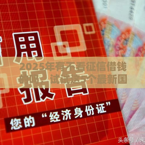 2025年有不看征信借钱的吗，试试这5个最新国外贷款平台