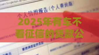 2025年有车不看征信的贷款公司，梳理5个最新2025年新平台黑户也能下款这种