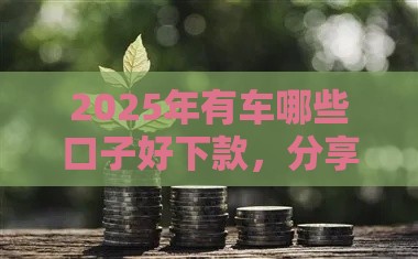 2025年有车哪些口子好下款，分享5个最新夜间能秒下款的高炮口子
