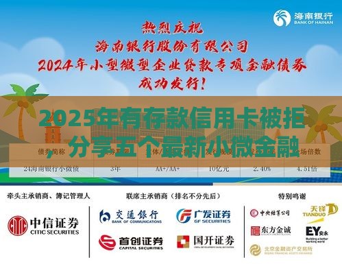 2025年有存款信用卡被拒，分享五个最新小微金融贷款平台