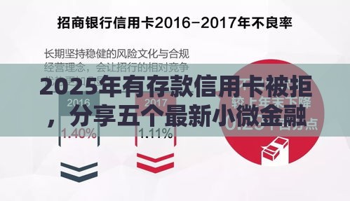 2025年有存款信用卡被拒，分享五个最新小微金融贷款平台