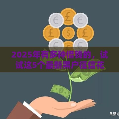 2025年有多种借钱的，试试这5个最新黑户征信花了能借钱的平台