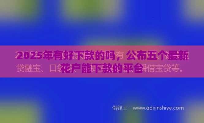 2025年有好下款的吗，公布五个最新花户能下款的平台