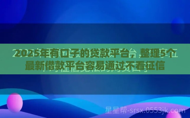 2025年有口子的贷款平台，整理5个最新借款平台容易通过不看征信