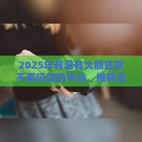 2025年有没有大额贷款不看征信的平台，推荐五个最新小型贷款平台