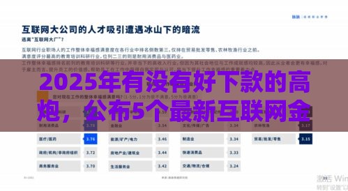 2025年有没有好下款的高炮，公布5个最新互联网金融网贷平台