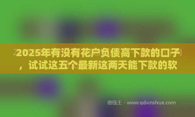 2025年有没有花户负债高下款的口子，试试这五个最新这两天能下款的软件