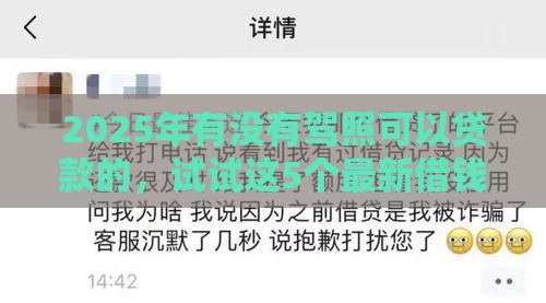 2025年有没有驾照可以贷款的，试试这5个最新借钱的平台100%能借到利息低