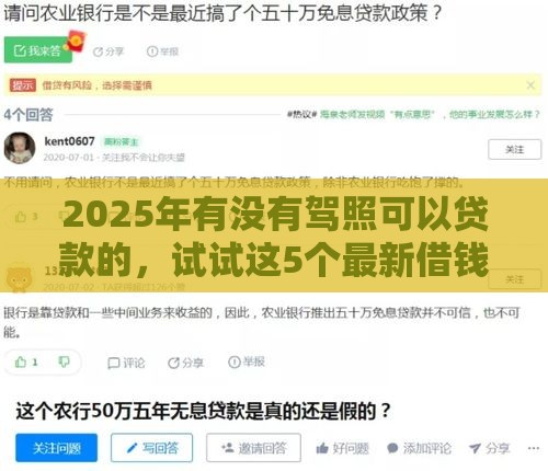 2025年有没有驾照可以贷款的，试试这5个最新借钱的平台100%能借到利息低