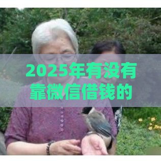 2025年有没有靠微信借钱的软件，看看这5个最新合规网贷平台