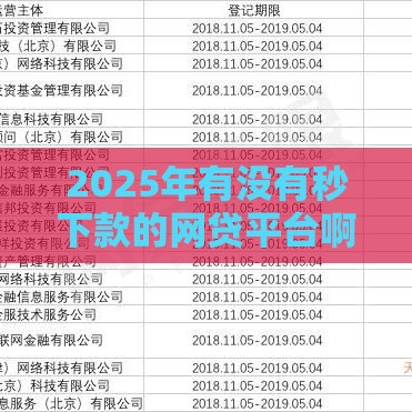 2025年有没有秒下款的网贷平台啊，整理五个最新十大正规网贷平台