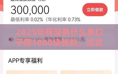 2025年有没有什么黑口子借1000块钱的，试试这五个最新当前有逾期可以在借款平台借钱