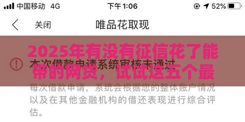 2025年有没有征信花了能带的网贷，试试这五个最新黑户烂户能过的购物平台