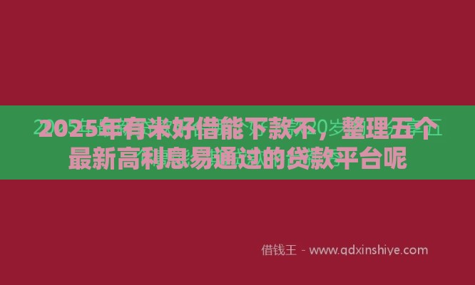2025年有米好借能下款不，整理五个最新高利息易通过的贷款平台呢
