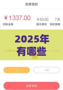 2025年有哪些容易下款的口子，整合5个最新18岁可以贷款的平台