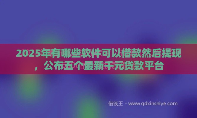 2025年有哪些软件可以借款然后提现，公布五个最新千元贷款平台