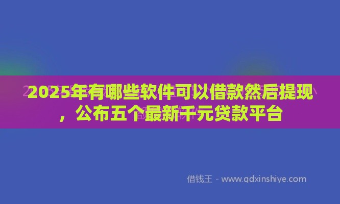 2025年有哪些软件可以借款然后提现，公布五个最新千元贷款平台