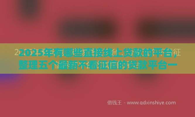 2025年有哪些直接线上贷款的平台，整理五个最新不看征信的贷款平台一定能下款