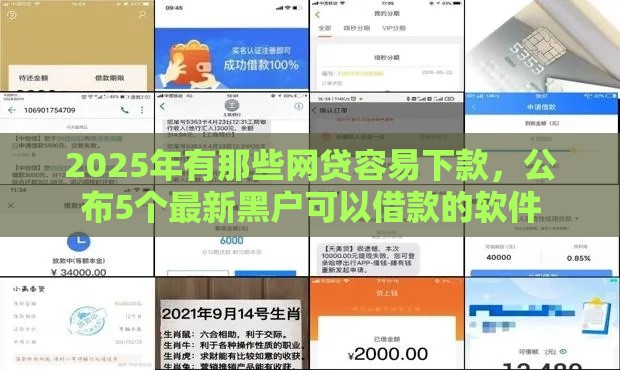 2025年有那些网贷容易下款，公布5个最新黑户可以借款的软件