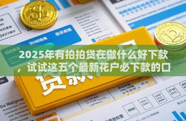 2025年有拍拍贷在做什么好下款，试试这五个最新花户必下款的口子