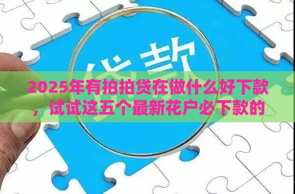 2025年有拍拍贷在做什么好下款，试试这五个最新花户必下款的口子