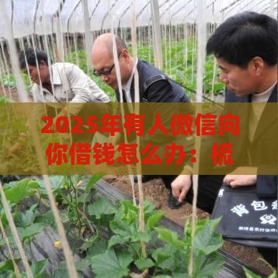2025年有人微信向你借钱怎么办:梳理5个2025热门好批的小额贷款平台 2025年有人微信向你借钱怎么办:梳理5个2025热门好批的小额贷款平台