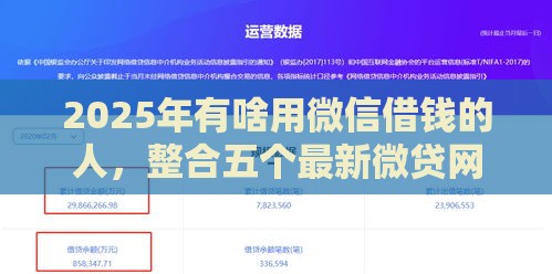2025年有啥用微信借钱的人，整合五个最新微贷网是什么网贷平台