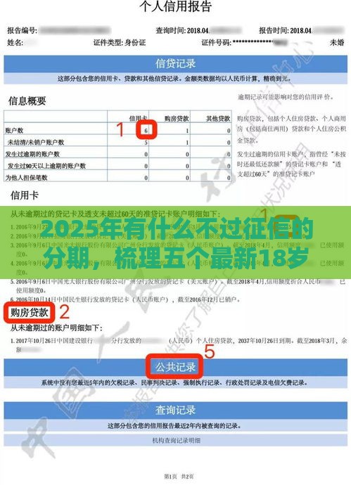 2025年有什么不过征信的分期，梳理五个最新18岁的借钱平台