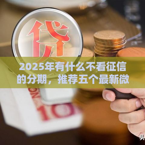 2025年有什么不看征信的分期，推荐五个最新微信里可以借钱的平台