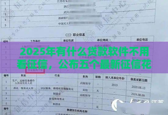 2025年有什么贷款软件不用看征信，公布五个最新征信花黑户都能下款的平台