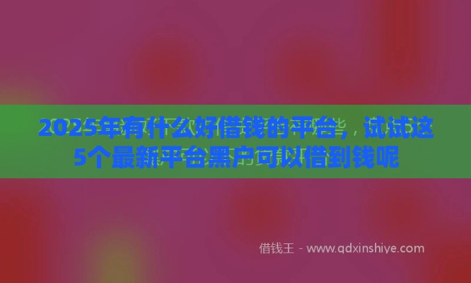 2025年有什么好借钱的平台，试试这5个最新平台黑户可以借到钱呢
