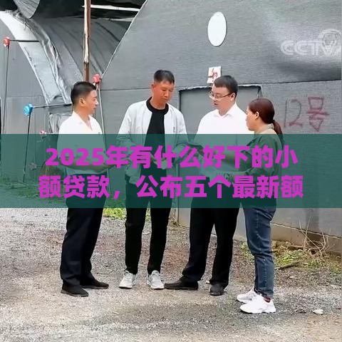 2025年有什么好下的小额贷款，公布五个最新额度高容易通过的平台