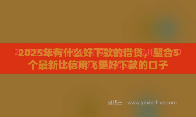 2025年有什么好下款的借贷，整合5个最新比信用飞更好下款的口子