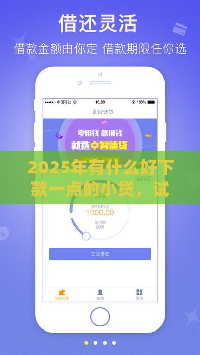 2025年有什么好下款一点的小贷，试试这5个最新夜间无视一切秒下款的高炮口子