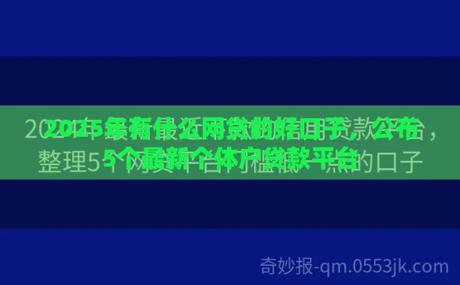 2025年有什么网贷的好口子，公布5个最新个体户贷款平台