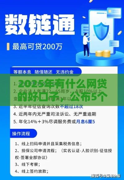 2025年有什么网贷的好口子，公布5个最新个体户贷款平台