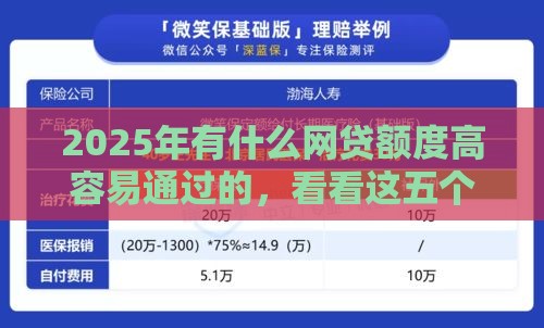 2025年有什么网贷额度高容易通过的，看看这五个最新融贷款平台