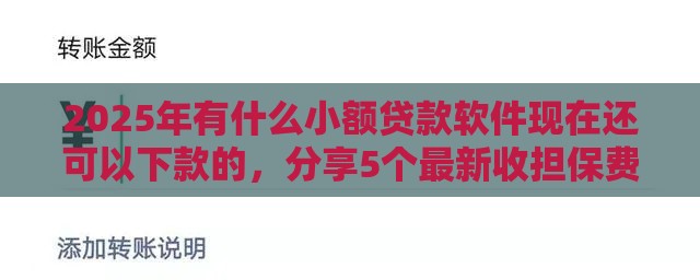 2025年有什么小额贷款软件现在还可以下款的，分享5个最新收担保费就能下款的口子