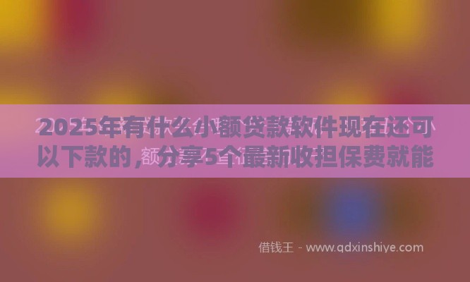 2025年有什么小额贷款软件现在还可以下款的，分享5个最新收担保费就能下款的口子