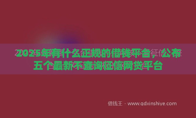 2025年有什么正规的借钱平台，公布五个最新不查询征信网贷平台