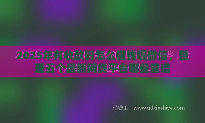 2025年有收款码怎么借钱呢微信,整理五个最新网贷平台哪些靠谱 2025年有收款码怎么借钱呢微信,整理五个最新网贷平台哪些靠谱