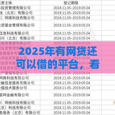 2025年有网贷还可以借的平台，看看这五个最新17岁网贷平台