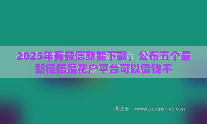 2025年有微信就能下款，公布五个最新征信是花户平台可以借钱不