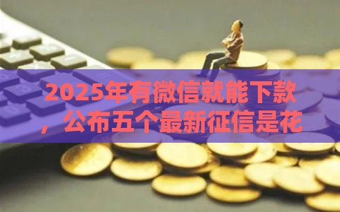 2025年有微信就能下款，公布五个最新征信是花户平台可以借钱不