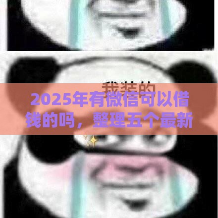 2025年有微信可以借钱的吗，整理五个最新和小象优品一样好下款的口子