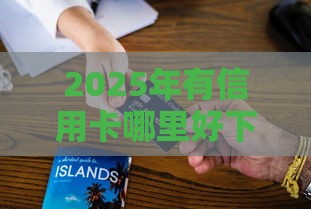 2025年有信用卡哪里好下款，整合5个最新汽车抵押贷款平台好