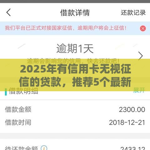 2025年有信用卡无视征信的贷款，推荐5个最新贷款买车平台