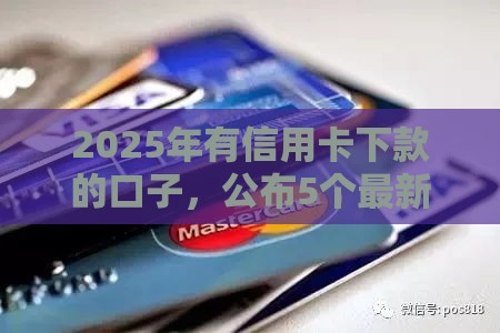 2025年有信用卡下款的口子，公布5个最新和安逸花一样的平台还